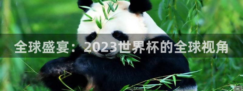 2026世界杯32强对阵图表：全球盛宴：2023世界杯的全球视角