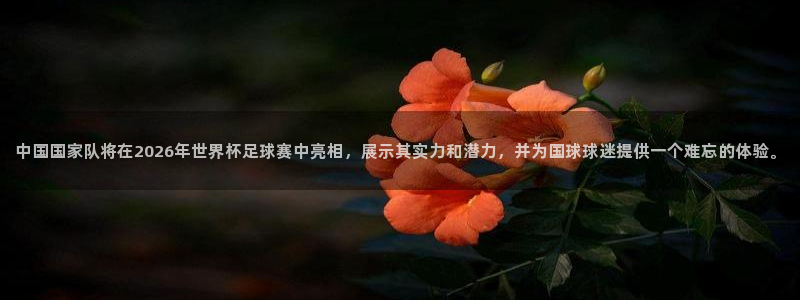 世界杯预选赛：中国国家队将在2026年世界杯足球赛中亮相，展示其实力和潜力，并为国球球迷提供一个难忘的体验。