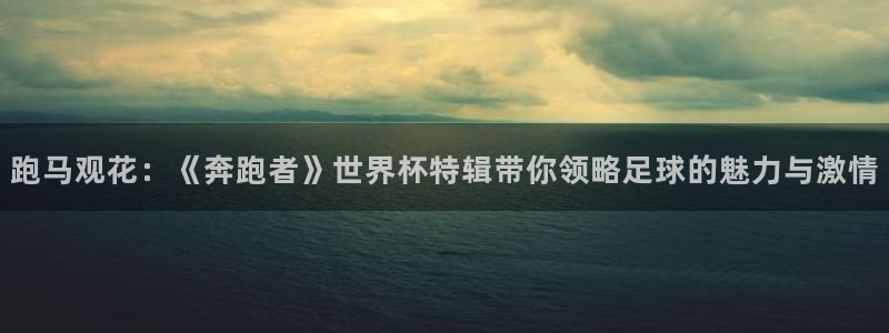 2026世界杯官网：跑马观花：《奔跑者》世界杯特辑带你领略足球的魅力与激情