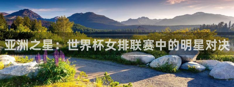 世界杯比赛直播：亚洲之星：世界杯女排联赛中的明星对决