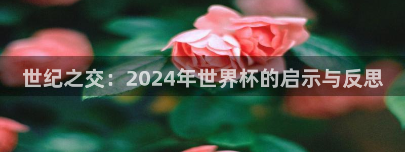 世界杯决赛直播：世纪之交：2024年世界杯的启示与反思