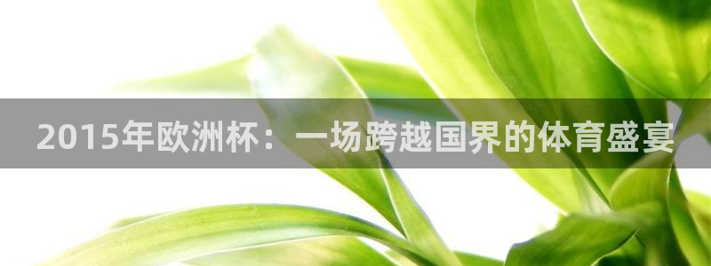 2026年世界杯赛程：2015年欧洲杯：一场跨越国界的体育盛宴
