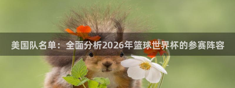 足球世界杯2026：美国队名单：全面分析2026年篮球世界杯的参赛阵容