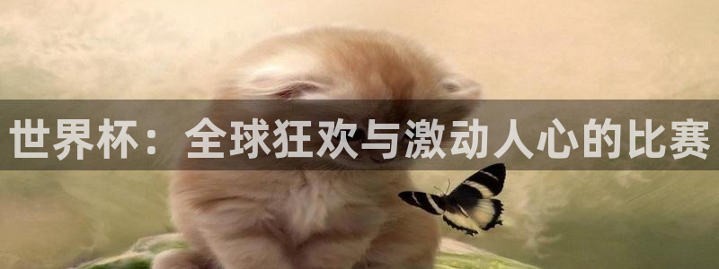世界杯球队排名：世界杯：全球狂欢与激动人心的比赛