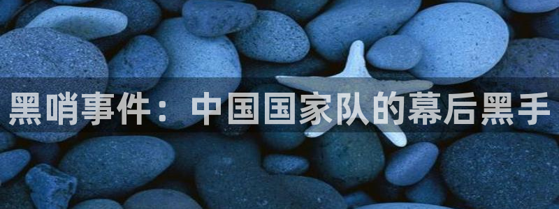 2026世界杯直播：黑哨事件：中国国家队的幕后黑手