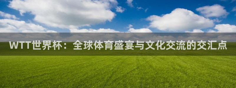 女足世界杯直播：WTT世界杯：全球体育盛宴与文化交流的交汇点