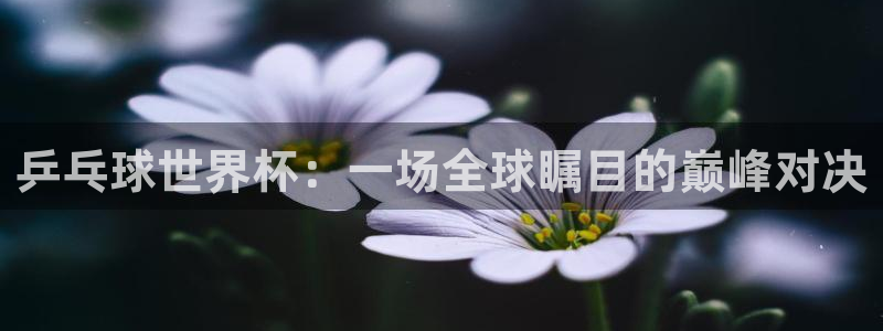 2026世界杯南美区积分榜：乒乓球世界杯：一场全球瞩目的巅峰对决